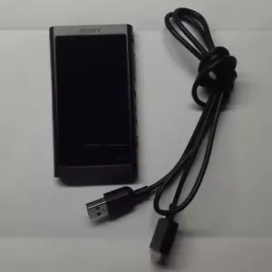 SONY Walkman NW-A4516GB Greyish Black Digital Media Player Micro SD Used Japan - Picture 1 of 1