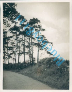 Romney Street Kent in 1938 4 x 3 inch - Picture 1 of 3