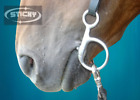 Hanging Cheek Waterford three Ring Horse Bit German Style Lozenge (UK Seller)