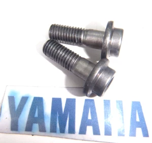 YAMAHA YZF1000 YZF 1000 R THUNDERACE FRONT FOOT PEG HANGER BOLTS 1 SET 2000 - Picture 1 of 5