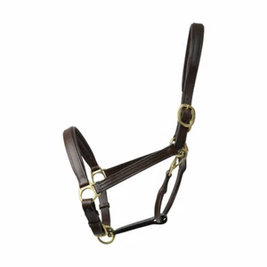 Collare testa di cavallo imbottito in pelle Coldstream - Foto 1 di 2