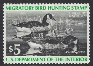 US Scott # RW43 - Mint NH - PSE Graded Superb 98                          (P-16) - Picture 1 of 3