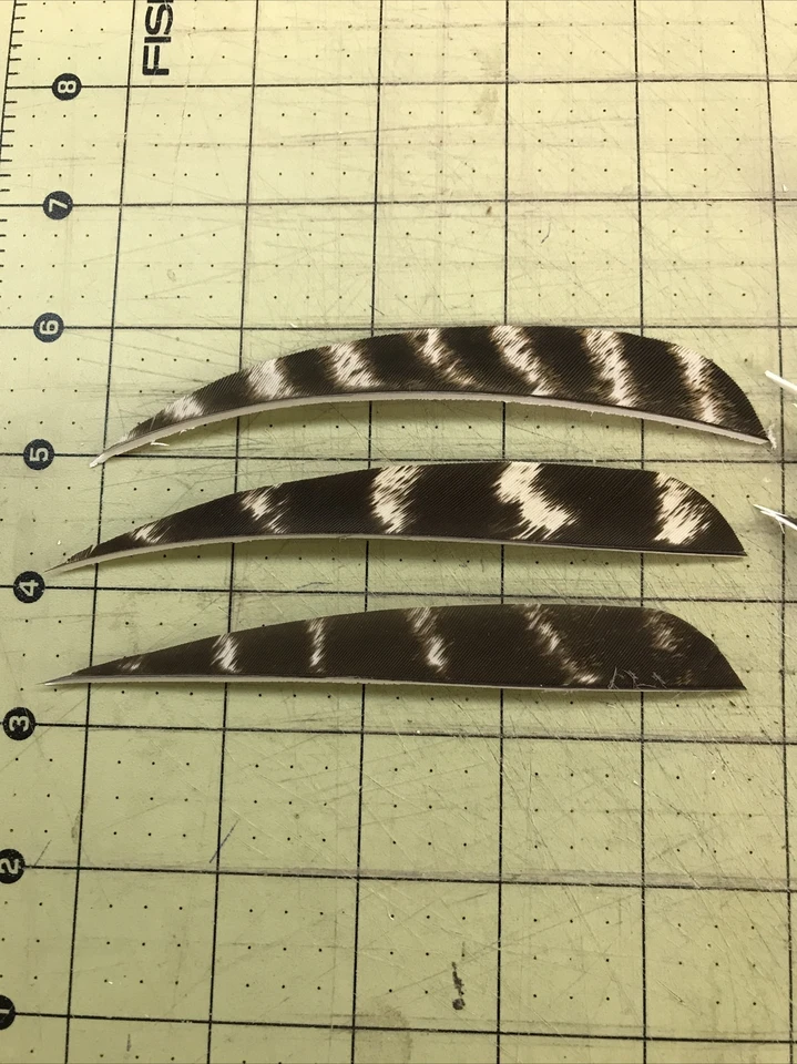 5" Left  Wing Parabolic Natural Barred Feather Fletching, 25Pk Archery 🇺🇸￼ - Image 1 of 2