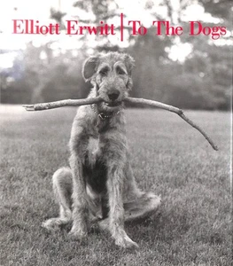 To the Dogs by Elliott Erwitt [Photographer] - Picture 1 of 1