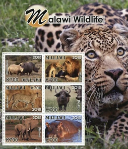 Malawi 2018 MNH Wildlife Rhinos Lions Elephants Hippos 6v M/S Animals Stamps - Picture 1 of 1