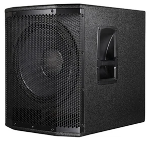 Altavoz Subwoofer Amplificador de Potencia Singtronic Profesional 1000W - Imagen 1 de 6