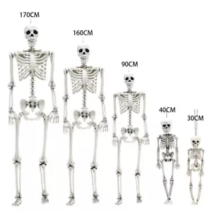 Halloween Full Body Poseable Skeleton Decoration Haunted Houses Party 11-67'' - Picture 1 of 20