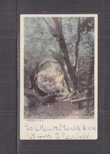 TASMANIA, 1905 ppc. DENISON GORGE, FERN TREE BOWER, 1d. Launceston to Dunorlan. - Picture 1 of 1