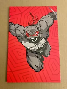 TMNT #1 Rivenditore Promo Variante IDW 2024 Teenage Mutant Ninja Turtles Box Set - Foto 1 di 1