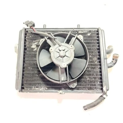 RADIATORE ACQUA ELETTROVENTOLA RAFFREDDAMENTO APRILIA SPORTCITY 250 2006 2008 Foto 1 de 4