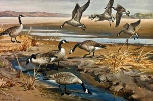 Maynard Reece - Sandbar - Canada Gänse - S/N Lithographie - signiert - neuwertig - Bild 1 von 1