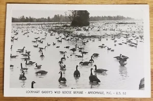 Postal con foto real de Lockhart Gaddy's Wild Goose Refure Ansonville Carolina del Norte 1963 - Imagen 1 de 1