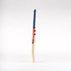Gray-Nicolls Cricket Technique Cricket Bat - 4 Sizes Available