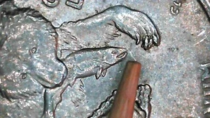 🔥Super Rare 🔥2008-P Alaska State Quarter Claw Die Chip Error➕drool on mouth - Picture 1 of 6