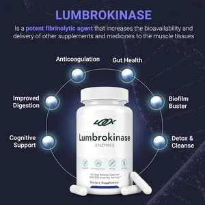 Potente suplemento de lumbroquinasa 40 mg - Imagen 1 de 7