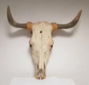 Tierschädel Stierschädel Skull Kuhschädel Longhorn Bullhorn Western Saloon Texas - Bild 1 von 4