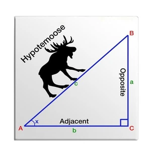 Hypotemoose Adjacent And Opposite Math Comic Humor Nerdy Geometry Fridge Magnet - Picture 1 of 7