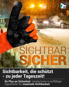 Guantes de Trabajo de Invierno Thermo Iglú Invierno Guantes Forrados T. 10 - Imagen 1 de 35