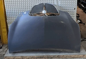 51872629 Cofano ant.  LANCIA YPSILON (TE) 1.4 Argento Ber. 3p/b/1368cc - Foto 1 di 5