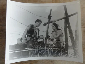 Kult Pressefoto GIGANTEN James Dean Elizabeth Taylor #2 - Picture 1 of 2