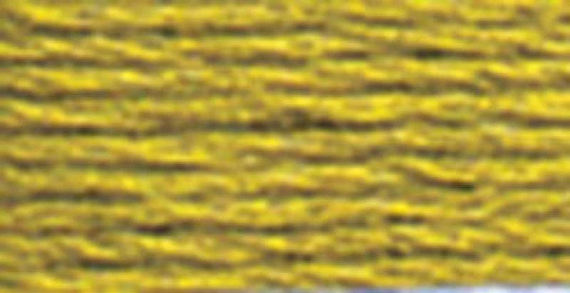 DMC Pearl Cotton Skein Size 5 27.3yd Medium Olive Green - Image 1 of 1