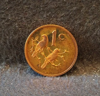 1985 South Africa cent, Cape sparrows, mint: 9,859 RB proof, KM-82 - Image 1 of 4