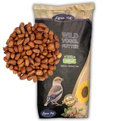 10 kg Erdnusskerne mit Haut Wildvogelfutter Erdnüsse Vögel Lyra Pet® Neue Ernte
