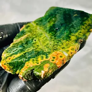 Rare Ocean Jasper Orbicular Old Stock Madagascar Slab Slice Stone Cabbing Rough - Picture 1 of 14