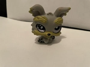  Littlest Pet Shop LPS 883 Hund Welpe Yorkie realistisch mit lila Glasaugen -1- - Bild 1 von 4