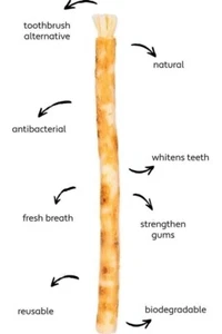 Miswak 10 Natural Toothbrush Sticks I Chewing Toothbrush I 6 inches each I BIG - Picture 1 of 10