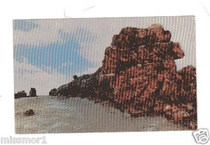 Antigua postal de colección del Monumento Nacional Bosque Petrificado Fiel Arizona años 50 - Imagen 1 de 2