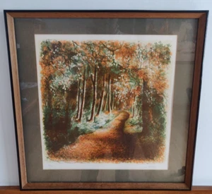 Vintage Lithographie Druck signiert Nummer 77 von 275 gerahmt 21 x 21 cm - Bild 1 von 10