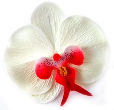 Flowers, Petals & Garlands