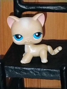 Authentic Original Littlest Pet Shop #228 Shorthair Cat / Original Hasbro LPS B - Picture 1 of 7