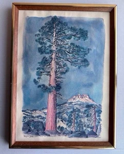 Earl Thollander Druck Jeffrey Pine Castle Crags gerahmt Vintage California Art - Bild 1 von 6