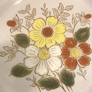 Old Brook Collection Stoneware Stonecreek 2 10.5" Dinner Plates - Picture 1 of 4