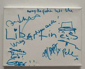 THE LIBERTINES signierte 12"x9" Leinwand Newcastle Skizze - genauer Beweis/COA - Bild 1 von 5