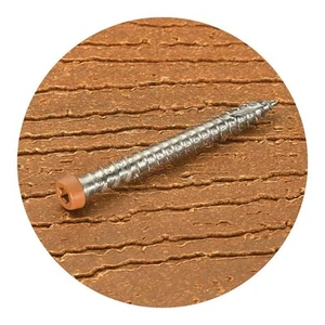 WA NEW ModWood Xtreme Guard Timber Screws 305SS Golden Sand Box Of 100 - Picture 1 of 1