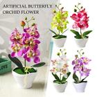 Artificial Butterfly Orchid Flower Plants In Pot Fake Decor Party Wedding B3l2