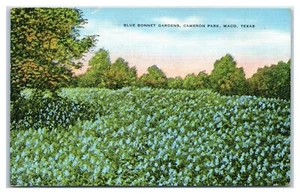 Blue Bonnet Gardens in Cameron Park Waco Texas Postkarte - Bild 1 von 2
