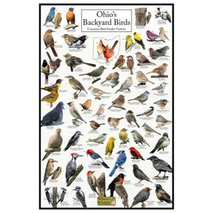 Ohio's Backyard Birds Poster - Ohio Bird Watching and Feeding Chart - Bild 1 von 6