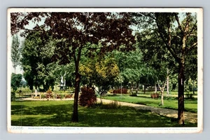 Albuquerque fast neuwertig - New Mexico, Robinson Park, um 1909 Vintage Souvenir Postkarte - Bild 1 von 2