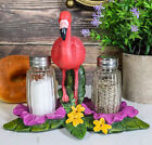 Tropical Paradise Bird Pink Flamingo Salt And Pepper Shakers Display Statue Set