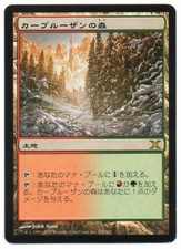 MTG Japanese Karplusan Forest 10th Edition SP
