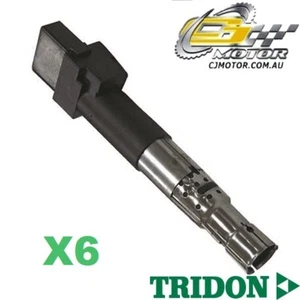 TRIDON IGNITION COIL x6 FOR Audi  A3 01/06-01/07, V6, 3.2L BUB  - Bild 1 von 1