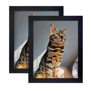 Picture Frame 8x10 Inch Set of 2,Made of Wood, Wall Mount Vertically or Horiz... - Picture 1 of 9