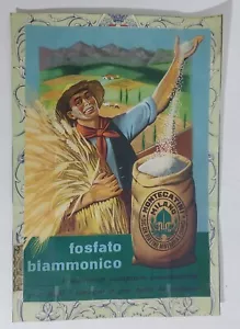 86092 136/crt Cartoncino Pubblicitaria - Concime Montecatini Milano - Imagen 1 de 2