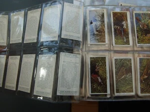 ONE COMPLETE SET CIGARETTE CARDS PLAYERS BIRDS AND THEIR YOUNG 1ST SERIES - Picture 1 of 1