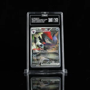 2025 Pokemon Journey Together Special Illustration Rare N's Zoroark EX TAG 10 - Bild 1 von 2