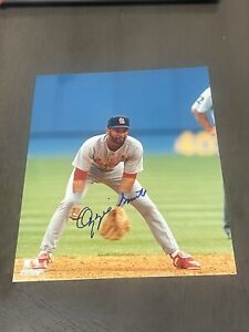 Ozzie Smith Signed Autographed MLB Licensed Photofile 8x10 St. Louis Cardinals 